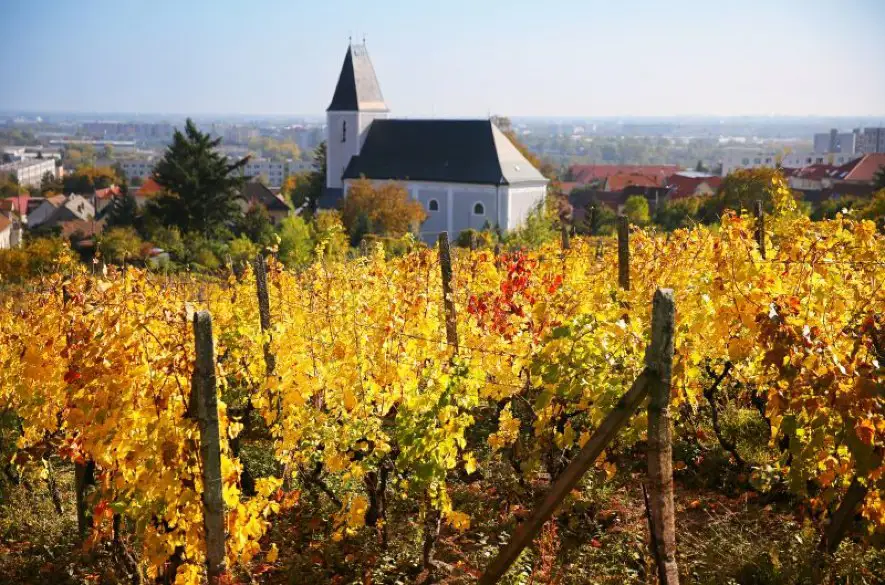 Najkrajšie októbrové vínne potulky po Slovensku