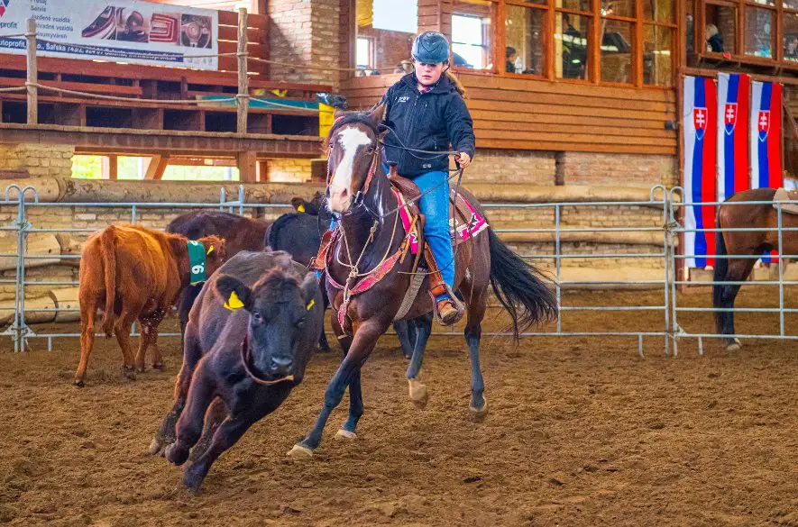 Na ranči na Striebornom jazere sa konal jazdecký šampionát National Slovak Catlemen Cup 2023 (NSCC)