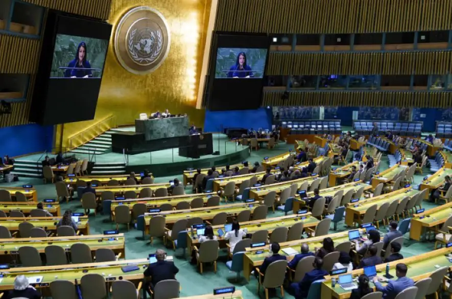 Česko hovorí, že OSN je na hanbu sveta a jej ministerka obrany hrozí, že z tejto hanby jej krajina odíde