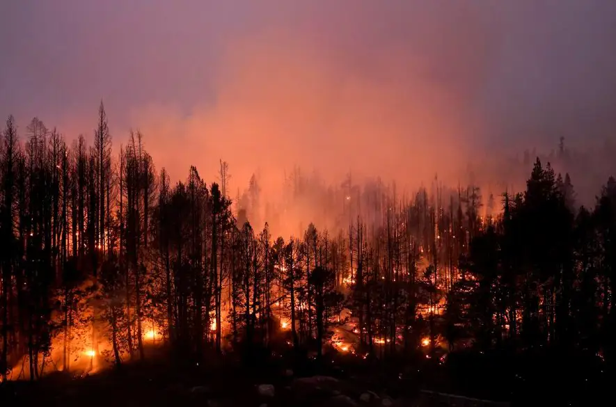 Na juhu Kalifornie sa šíri lesný požiar, úrady vyzvali na evakuáciu