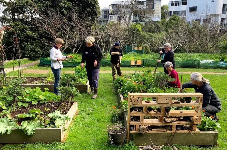 V Liptovskom Mikuláši otvorili prvú komunitnú záhradu