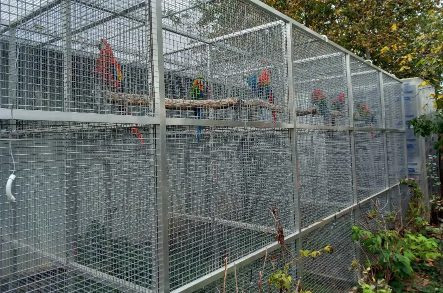 Enviropolícia počas domovej prehliadky v Hlohovci zaistila ohrozené druhy korytnačiek a papagájov