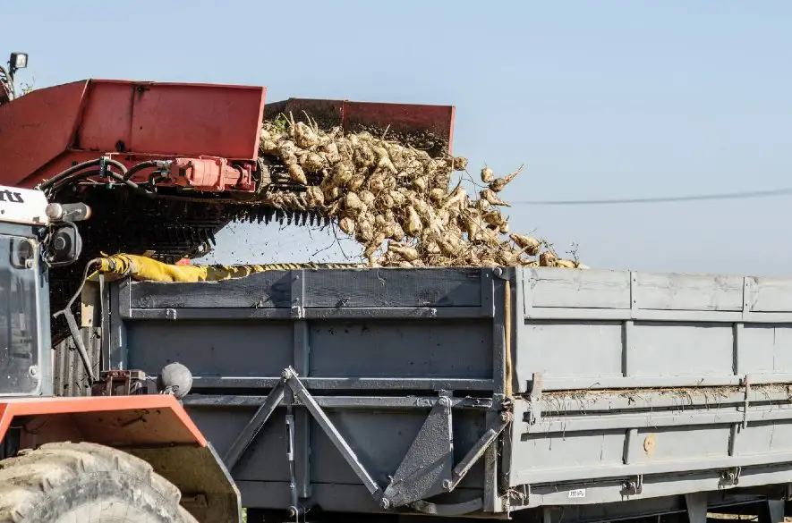 Problémy s exportom z Ukrajiny zasahujú už aj cukor a hydinu