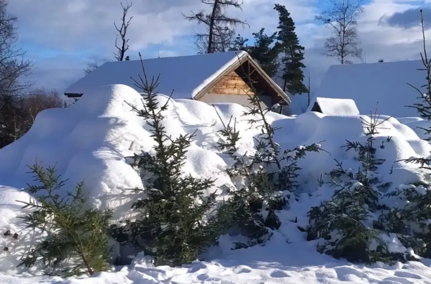 Tatranský národný park aj tento rok ponúka vianočné stromčeky či pstruhy z výlovu