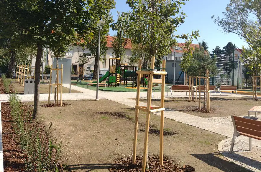 Do školských areálov bratislavského Nového Mesta vysadia nové stromy