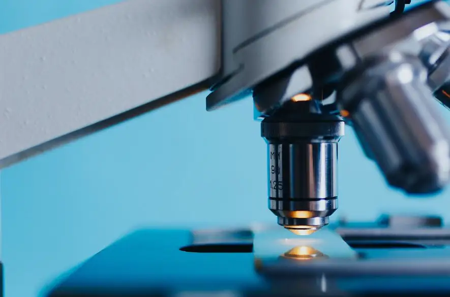 Life Science sektor na Slovensku: Máme dostatok talentu,  potrebuje však investície