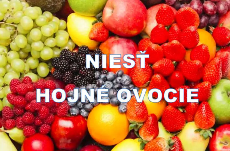 Na Slovensku prebieha Aliančný týždeň modlitieb, témou je Niesť hojné ovocie