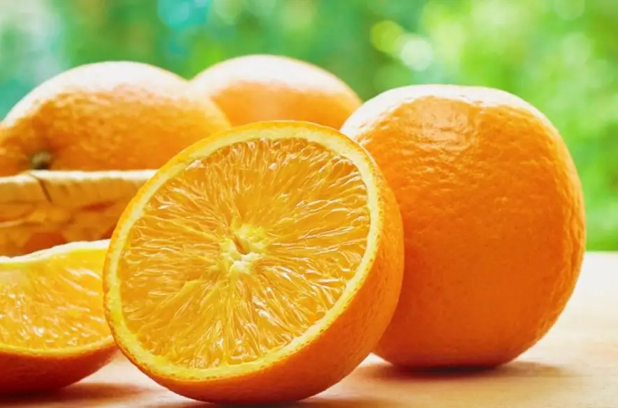 Radíme: Pomarančmi možno podporiť trávenie aj vstrebávanie živín