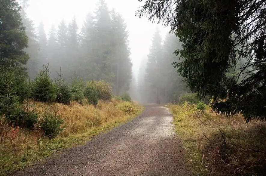 Ste nároční na dary? Tieto štyri dané Bohom ulahodia aj tomu najnáročnejšiemu!