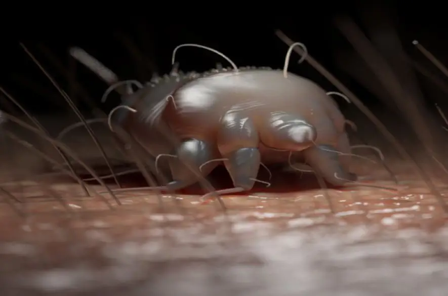 Požierajú telo kúsok po kúsku: Kožné choroby, ktoré by si nechcel ani za milión, zákerné a drsné ochorenia sa šíria priam rýchlosťou svetla