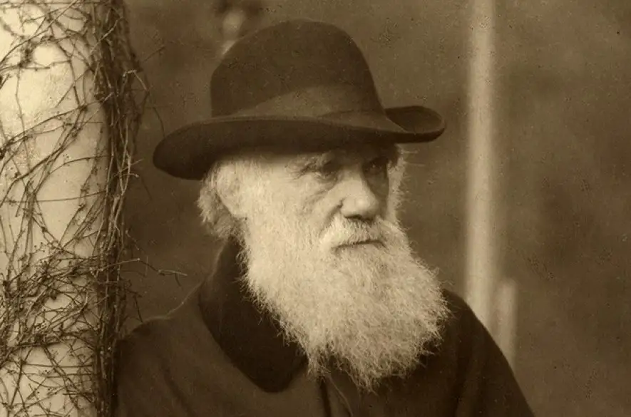 Historický míľnik: Vedci odhalili stratenú knižnicu Charlesa Darwina