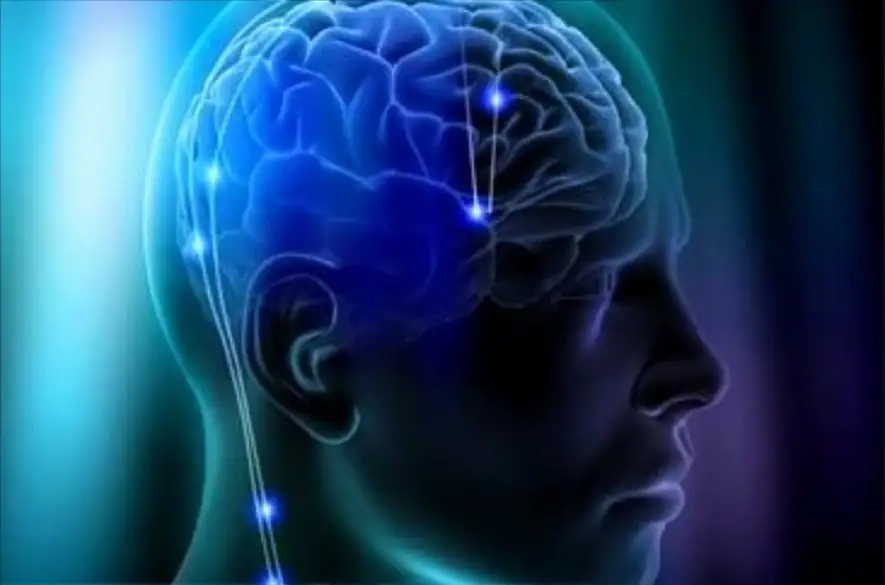 Americkí vedci identifikujú mozgové centrum s kľúčovou úlohou v naučenej reakcii na hrozby
