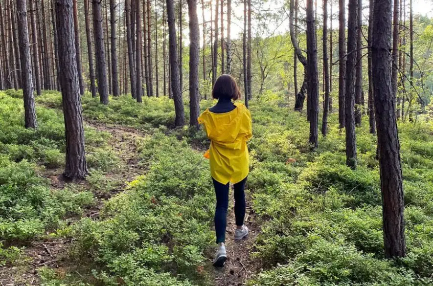 Rok v lese či chatrč v tropickom raji? Život na samotke prináša veľa benefitov