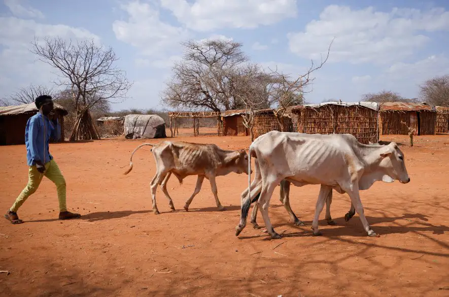 OSN uvoľňuje 17 miliónov USD na pomoc severnej Etiópii postihnutej suchom