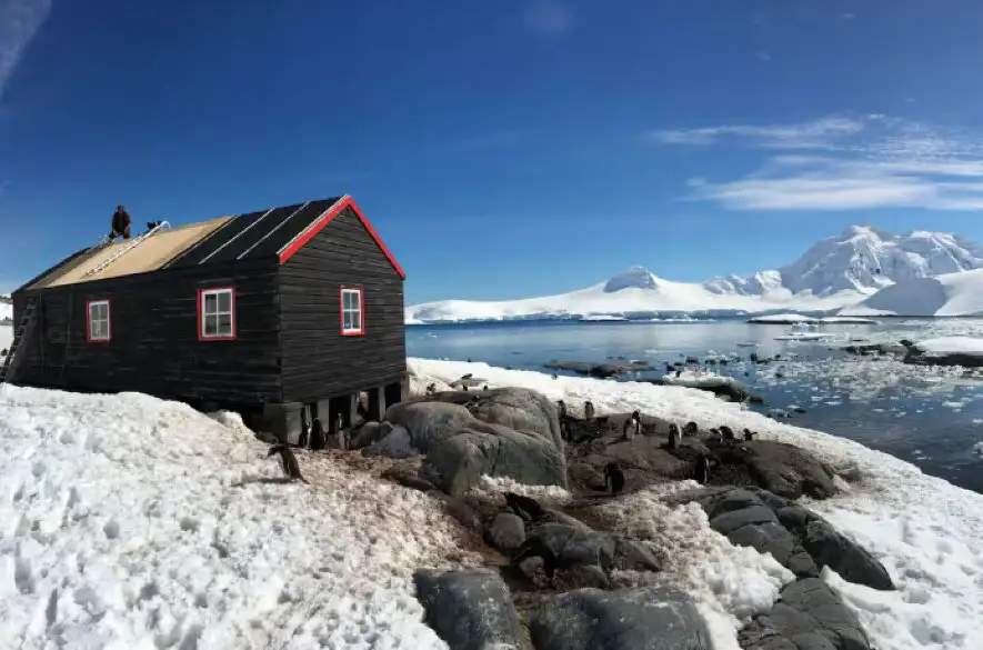 Britská organizácia ponúka voľné miesta na Antarktíde, súčasťou práce je aj sčítavanie tučniakov