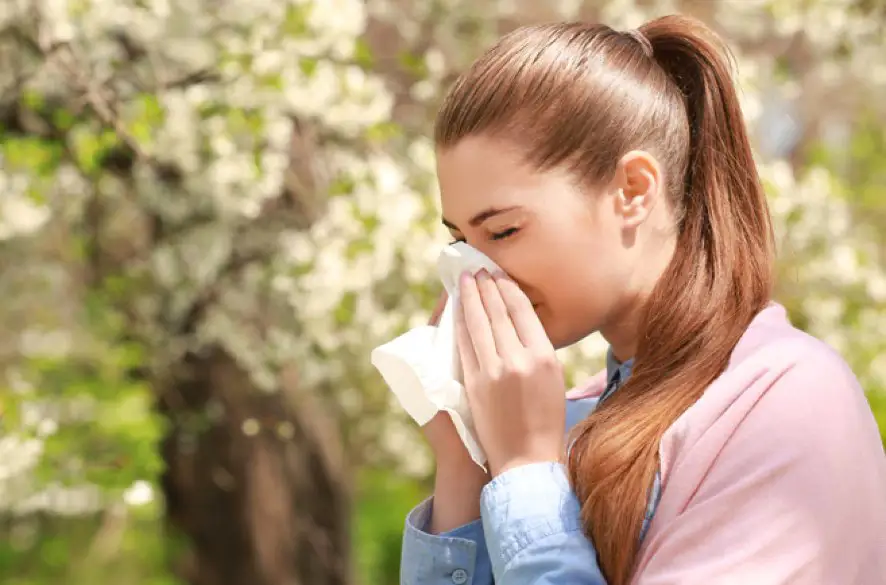 Stúpajúci trend alergií: Ako sa vyrovnávať s rastúcim počtom alergikov? Expertka radí