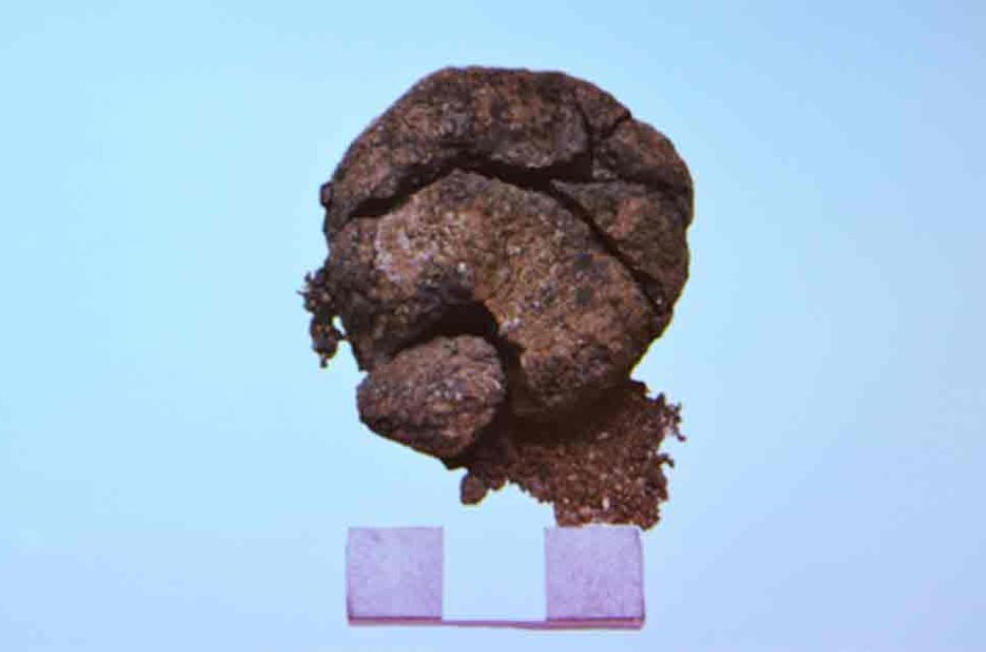 V Turecku našli najstarší bochník chleba na svete. Odborníci mu odhadujú tisíce rokov