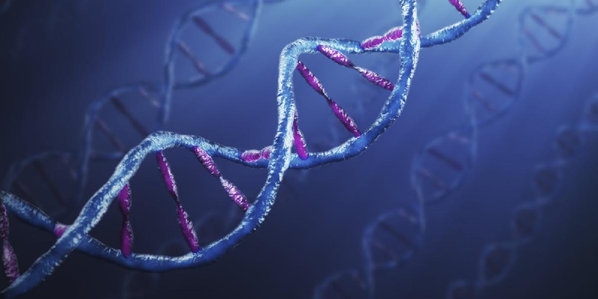 Na UK otvoria nové výskumné centrum molekulárnej genetiky
