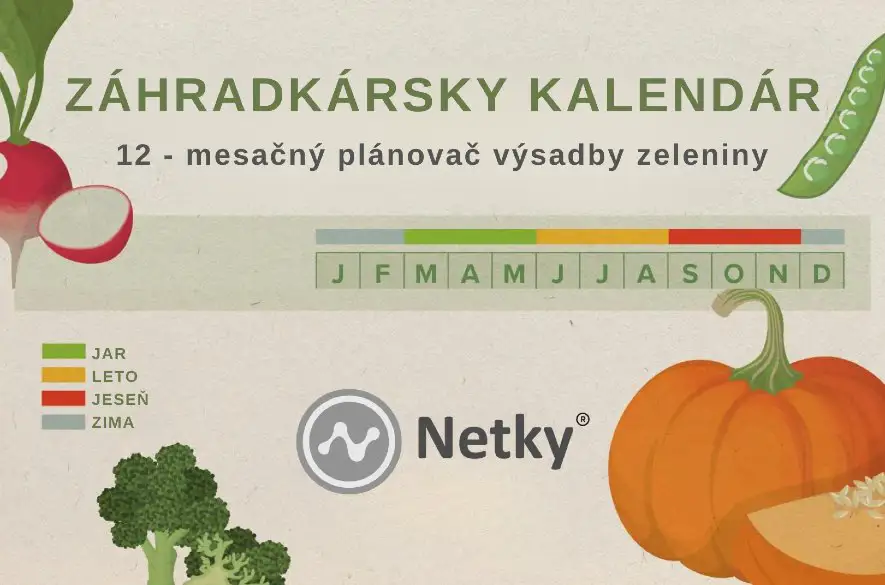 Viete, kedy a ako pestovať vlastnú zeleninu? Stiahnite si náš prehľadný záhradkársky kalendár výsadby, aby vám nič neuniklo!