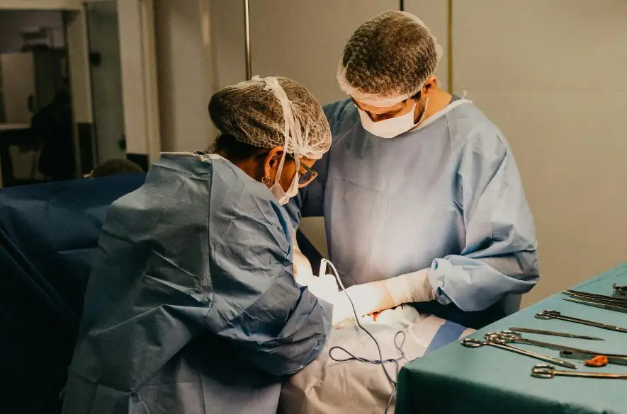 V USA lekári transplantovali prvú prasaciu obličku pacientovi. Tá by mu mohla vydržať roky