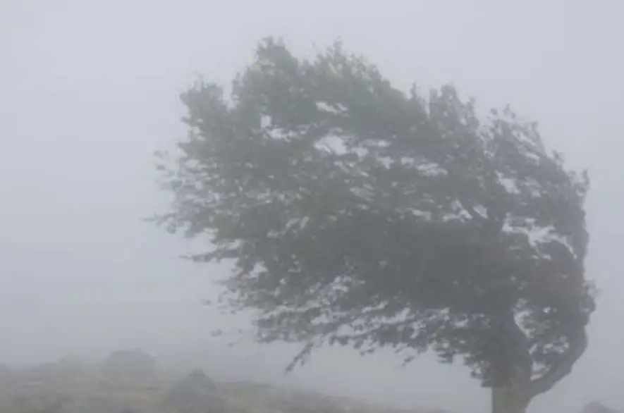 Meteorológovia varujú: Niektoré časti Slovenska potrápi vietor, iné búrky