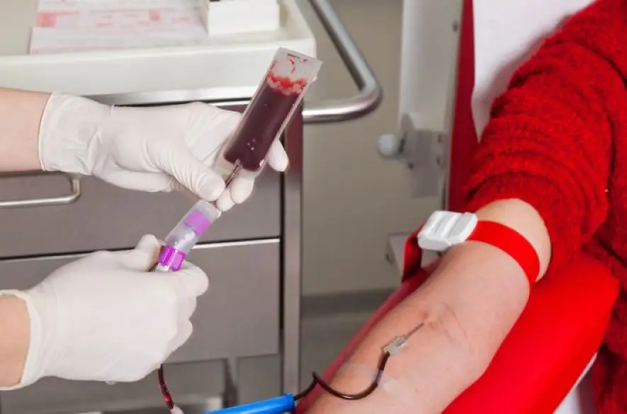 Kvapka krvi: SAV spojí darovanie krvi so zaujímavými prednáškami o cirkulácii tejto životne dôležitej tekutine aj počas Svetového dňa hemofílie