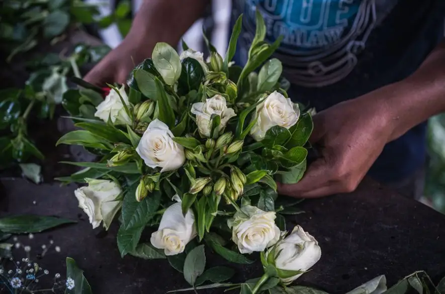 Británia zrušila clá na dovoz kvetov z východnej Afriky. Kvety sa tam budú dovážať bez dane do roku 2026