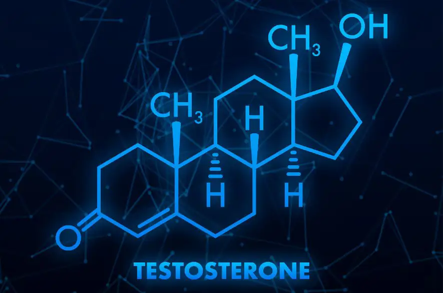 Ženy, máte vysoký testosterón? Zabráňte riziku neplodnosti či cukrovky prírodnou cestou