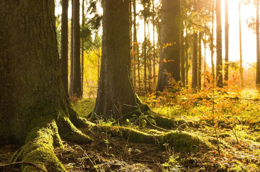 Chladným dňom je nateraz koniec, od štvrtka má prísť výrazné oteplenie