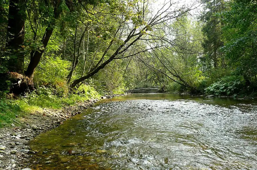 Tragédia na Horehroní: V rieke našli telo dievčaťa, pravdepodobne sa utopilo