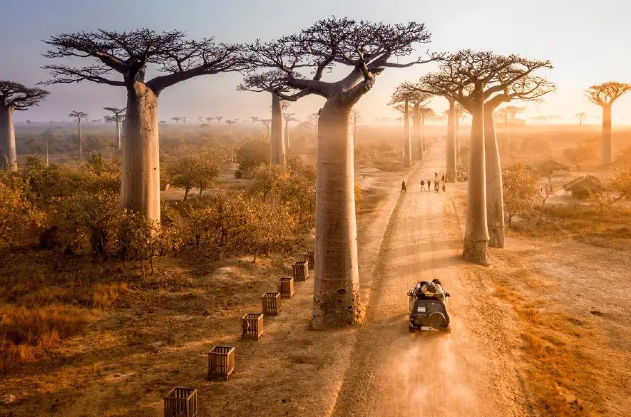 Vydajte sa na Avenue of Baobabs: Madagaskar je ostrovom, ktorý vám vyrazí dych