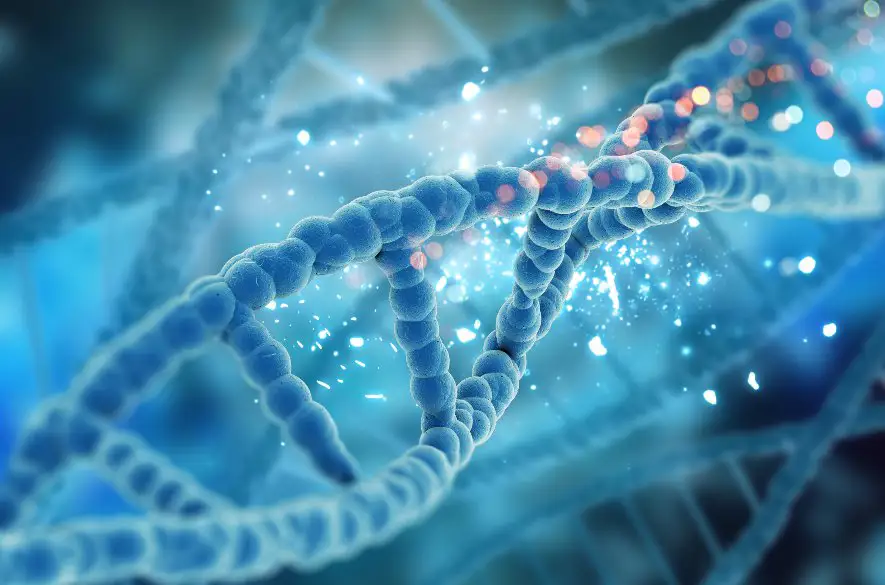 Českí vedci objavili nový spôsob opravy poškodenej DNA. Pomôže pri liečbe rakoviny?