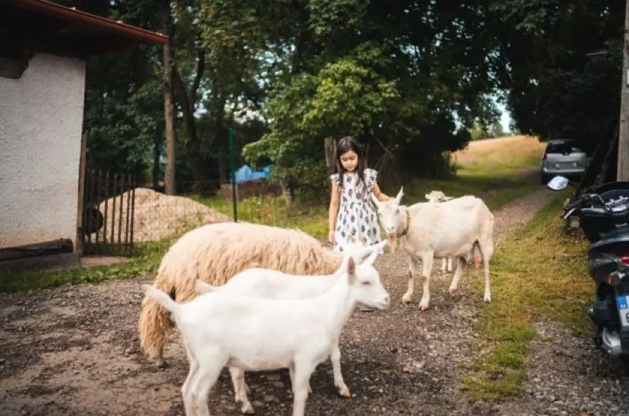 BBSK: Farmársky park v Stožku prináša turistom autentický zážitok z vidieckeho života