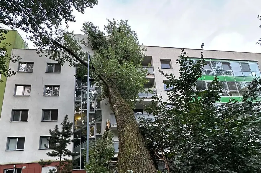 DRÁMA v bratislavskom Lamači: Na bytovku sa ZRÚTIL obrovský strom! +FOTO