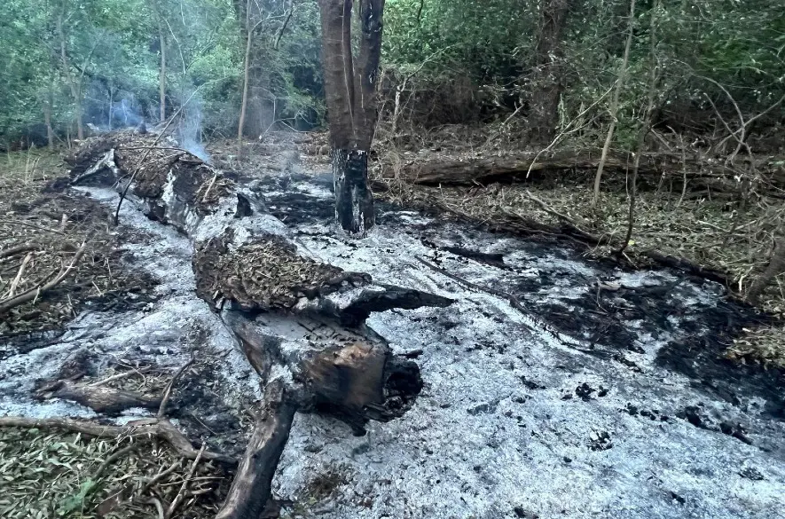 NATO: Nejde o úmyselný útok Ruska, potvrdili to úlomky dronov