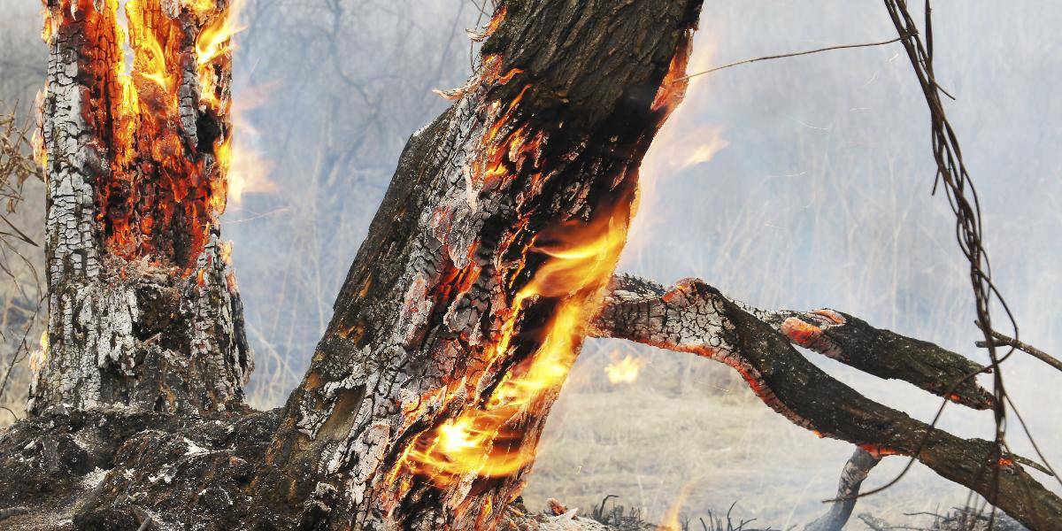 Ťažký deň košických hasičov: Horel dom, tatrovka aj stromy