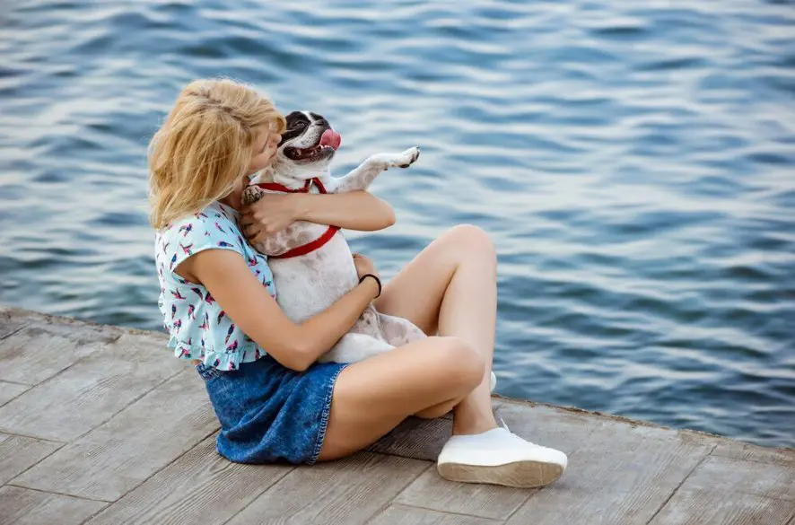 Zvieratám v lete doprajte chladné miesto, radia veterinári