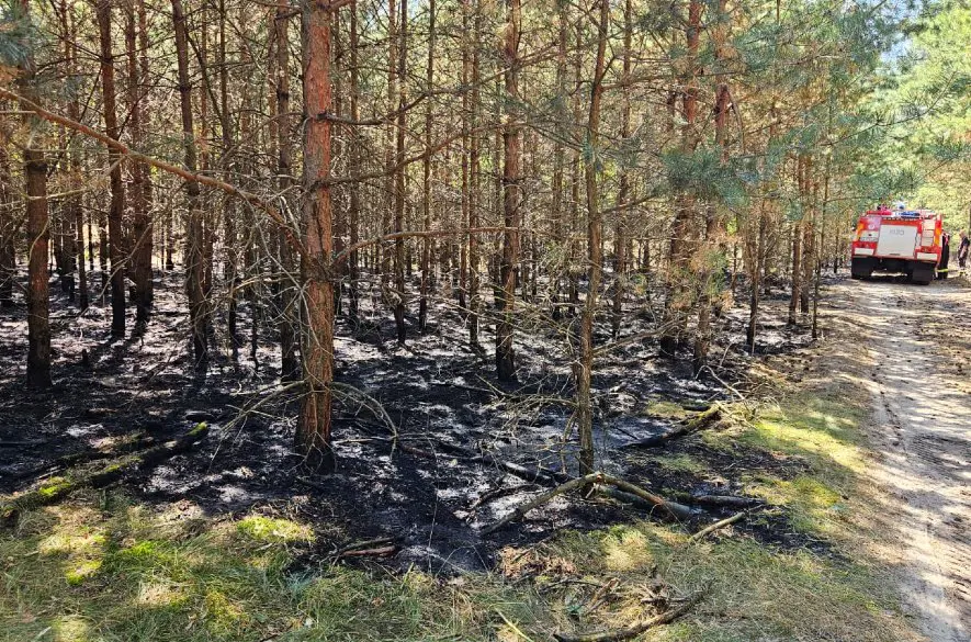 Senica: Les zachvátili plamene. Spôsobila to ľudská nedbalosť