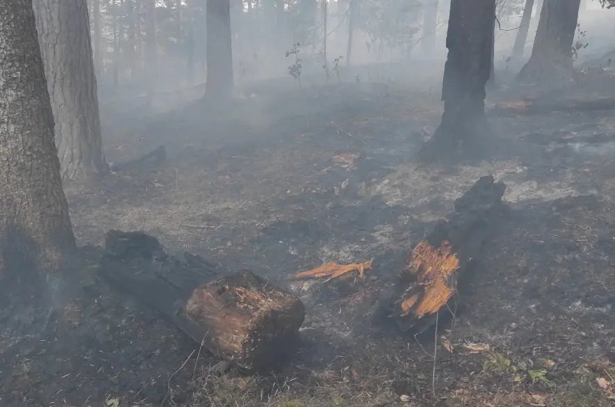 Slovenský raj v plameňoch: Je príčinou ľudská nedbanlivosť? + FOTO