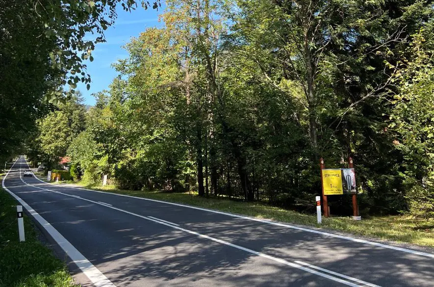 Vysoké Tatry: Výrub stromov má ochrániť zdravie a život obyvateľov