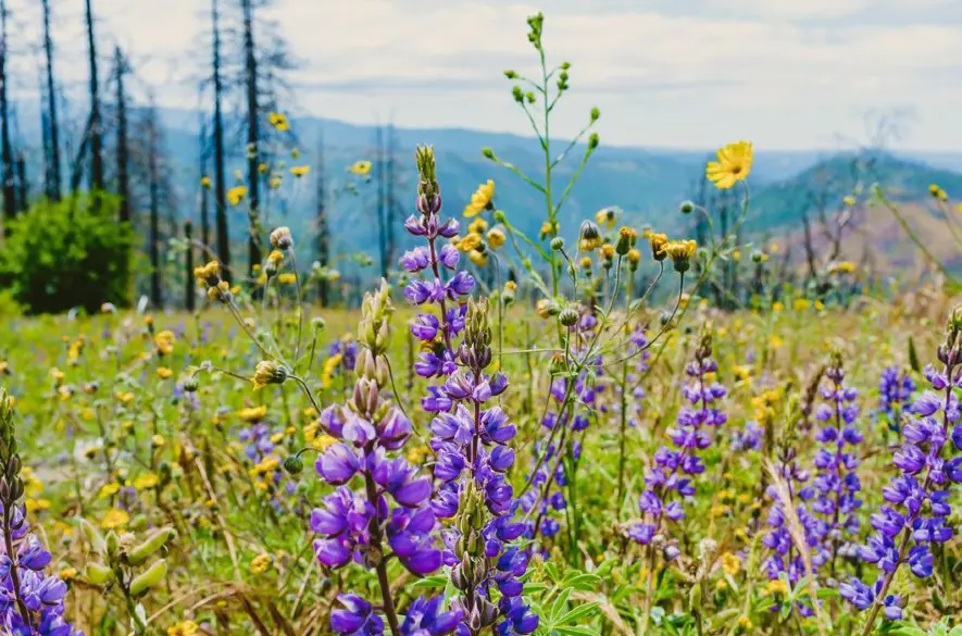 Pestrá jeseň v Piešťanoch a Tatry bilancujú letnú sezónu +VIDEO