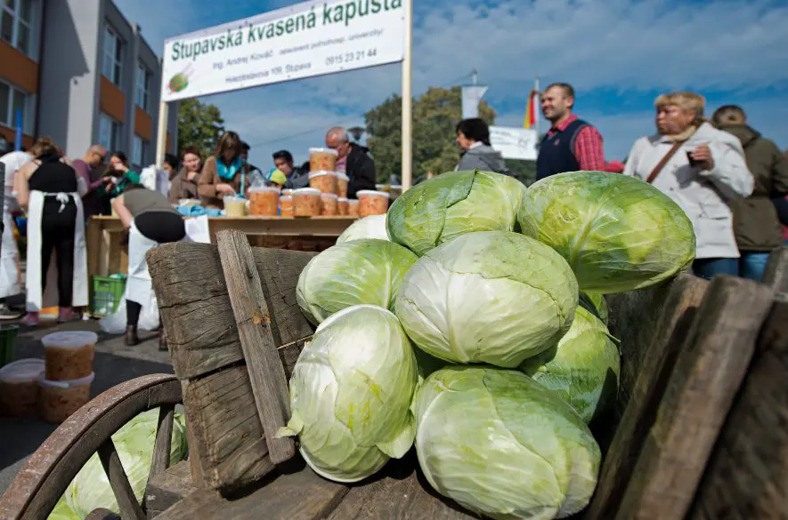 Stupava: Dni zelá sú ZRUŠENÉ! Povodne spôsobili značné škody