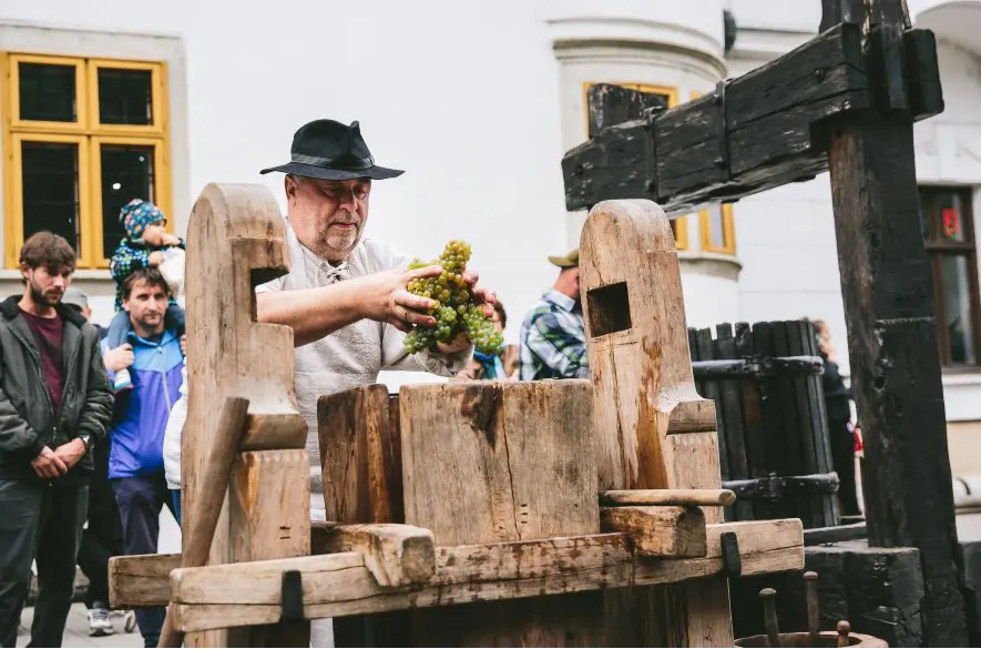 Vinobranie Pezinok 2024: Oslava vína, hudby a tradícií. Príďte, oplatí sa! + PROGRAM + VIDEÁ