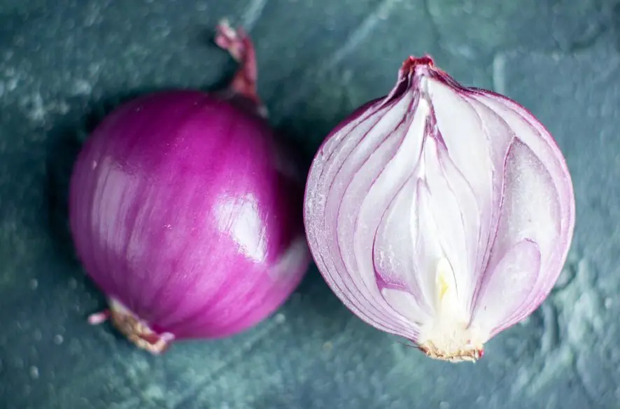 Liečivá sila cibule: Aké má účinky a ako pomáha pri chorobe?