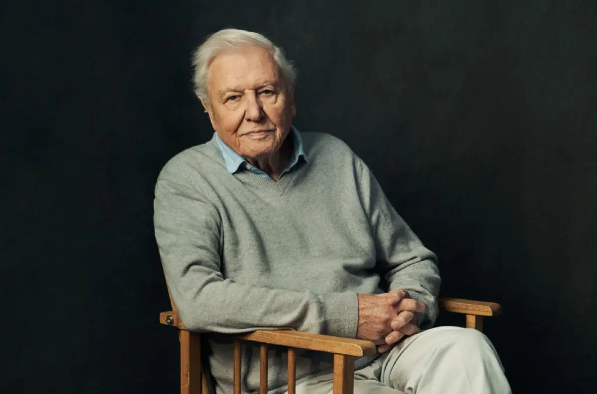 Sir David Attenborough kritizuje použitie umelej inteligencie na kopírovanie jeho hlasu + VIDEO