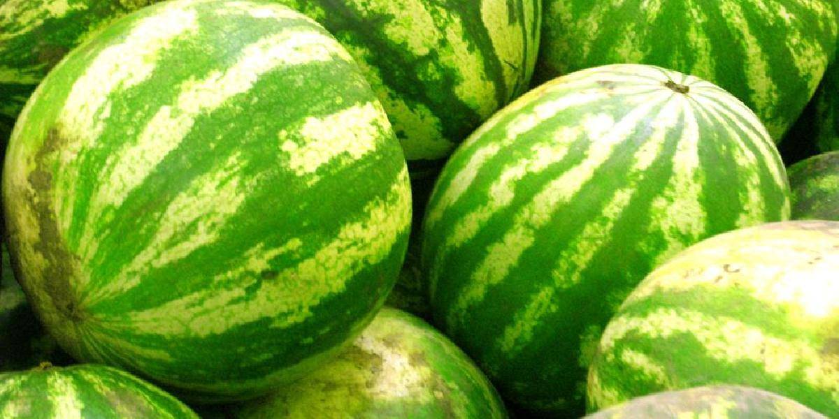 Španielska polícia zhabala 32 ton hašiša ukrytého medzi melónmi