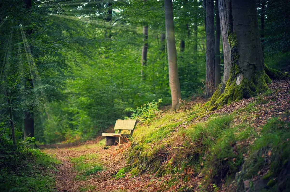 Handlová posilňuje turistickú infraštruktúru: Nové atrakcie a zázemie pre rekreačné zóny