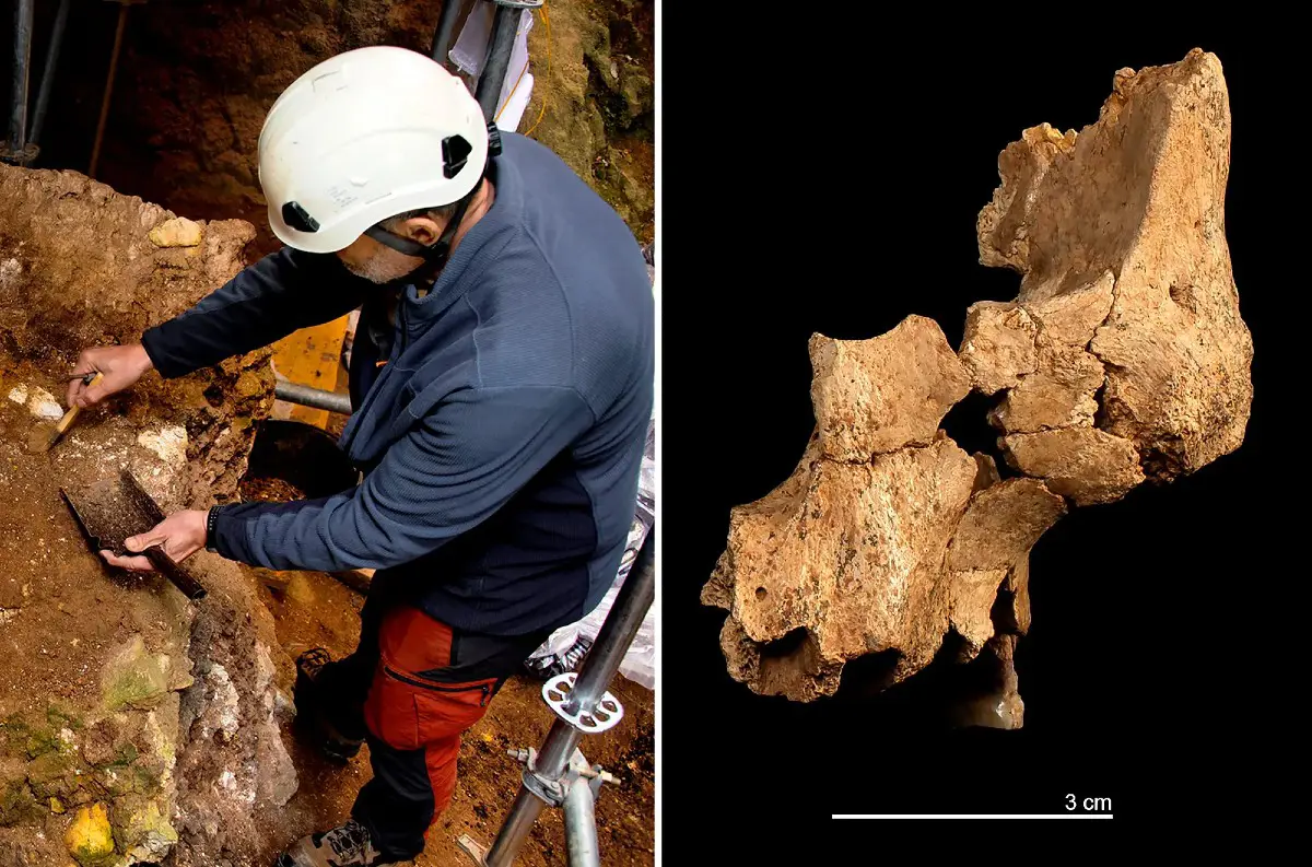 Najstaršia ľudská fosília v Európe? Archeológovia objavili tajomné pozostatky!