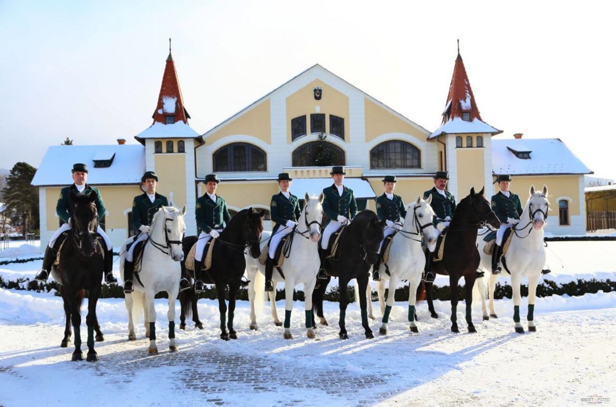 SPU a Národný žrebčín Topoľčianky: Spojenie vedy, vzdelávania a praxe