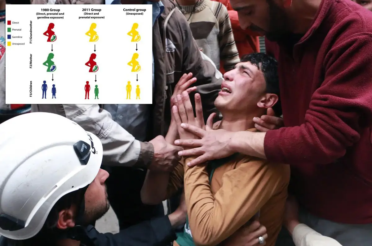 Epigenetické jazvy: Ako násilie a trauma ovplyvňujú DNA naprieč generáciami!